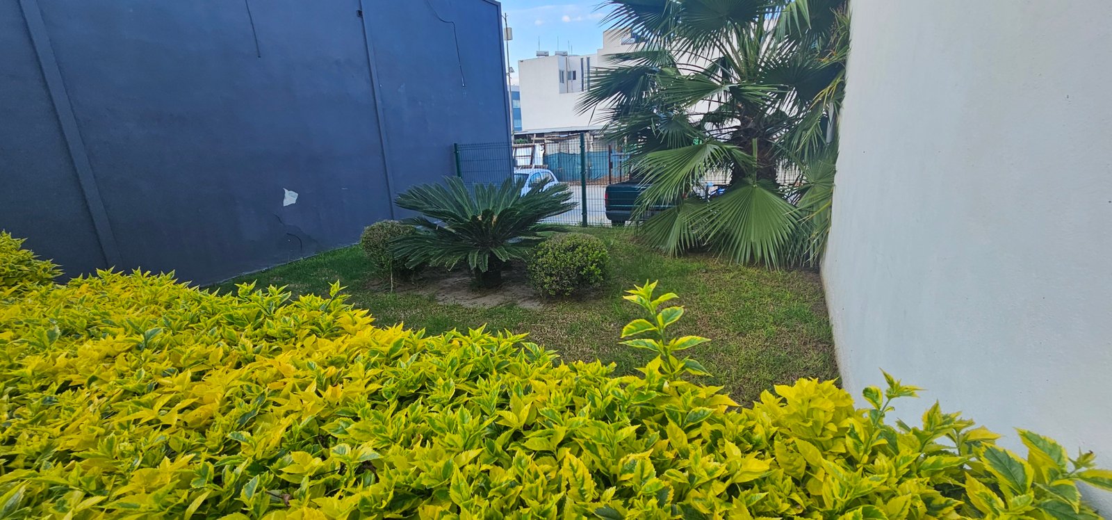 Jardín con plantas decorativas y edificios cercanos dentro del desarrollo Residencial Rubí en León, Gto.