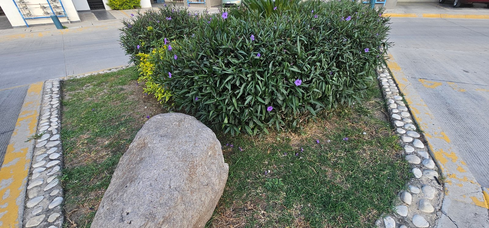 Rincón verde con piedras decorativas y flores en Residencial Rubí, León Gto.