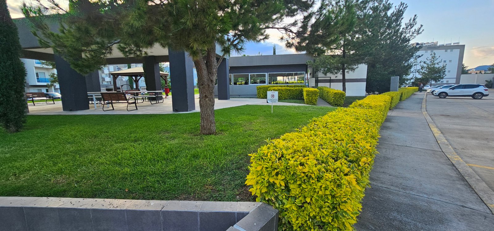 Jardín con césped y arbustos verdes.