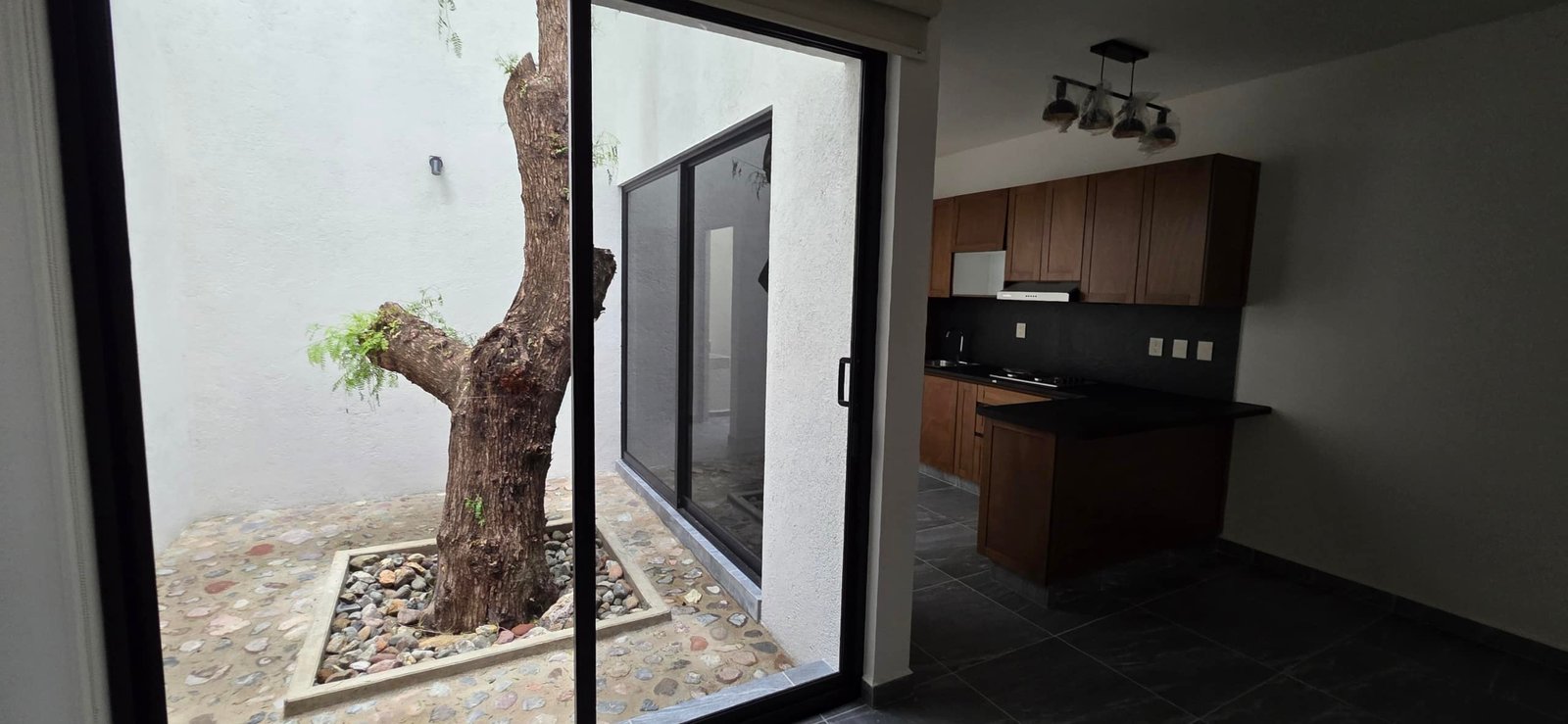 Cocina moderna con árbol interior.