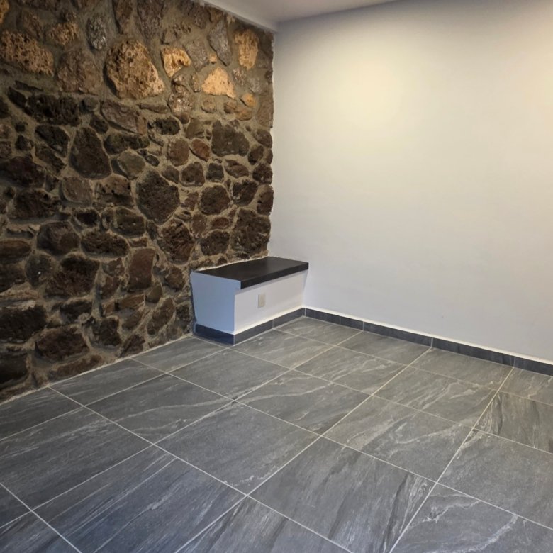 Habitación con pared de piedra desnuda