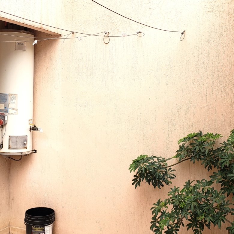 patio con calentador exterior y planta decorativa en casa con uso comercial en renta en León Guanajuato