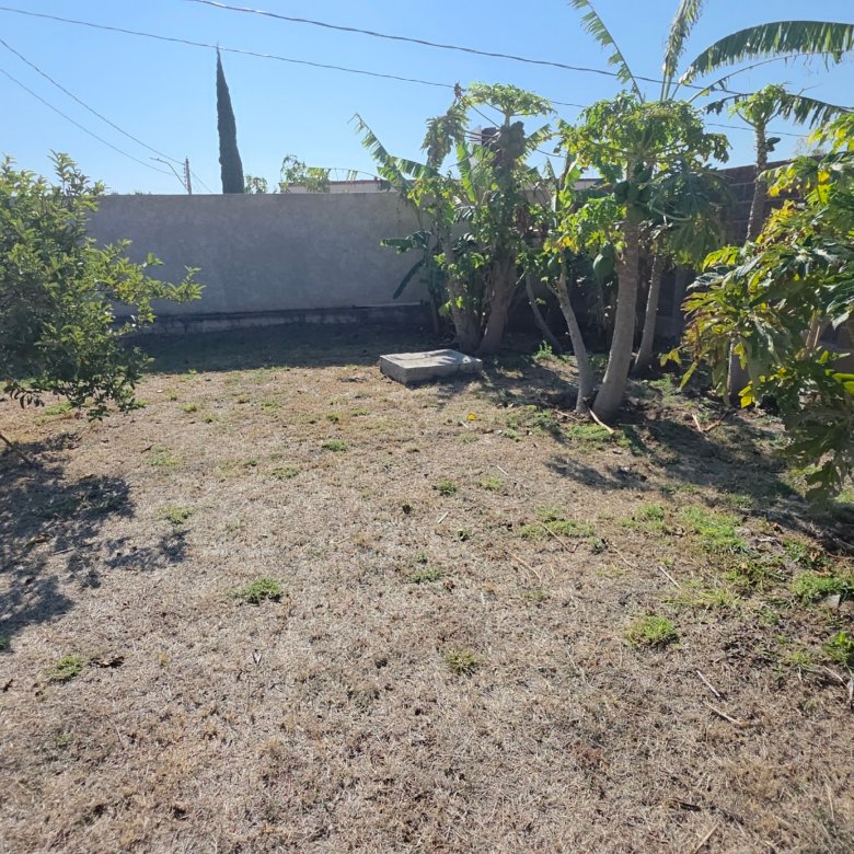 Jardín con árboles y suelo seco en terreno en venta en Cañada de Negros, Purísima del Rincón, Guanajuato