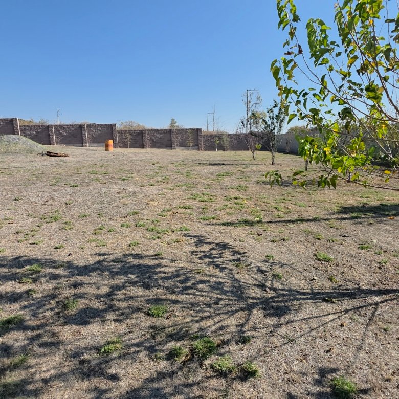 Campo abierto con árboles y zonas de sombra en terreno en venta en Cañada de Negros, Purísima del Rincón, Guanajuato