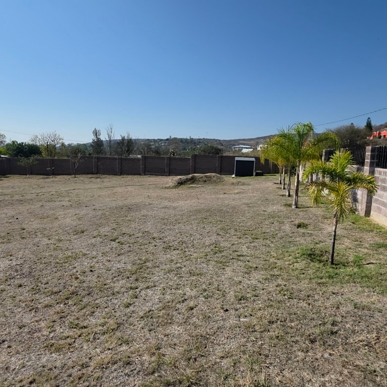 Terreno vacío con algunas palmeras en venta en Cañada de Negros, Purísima del Rincón, Guanajuato