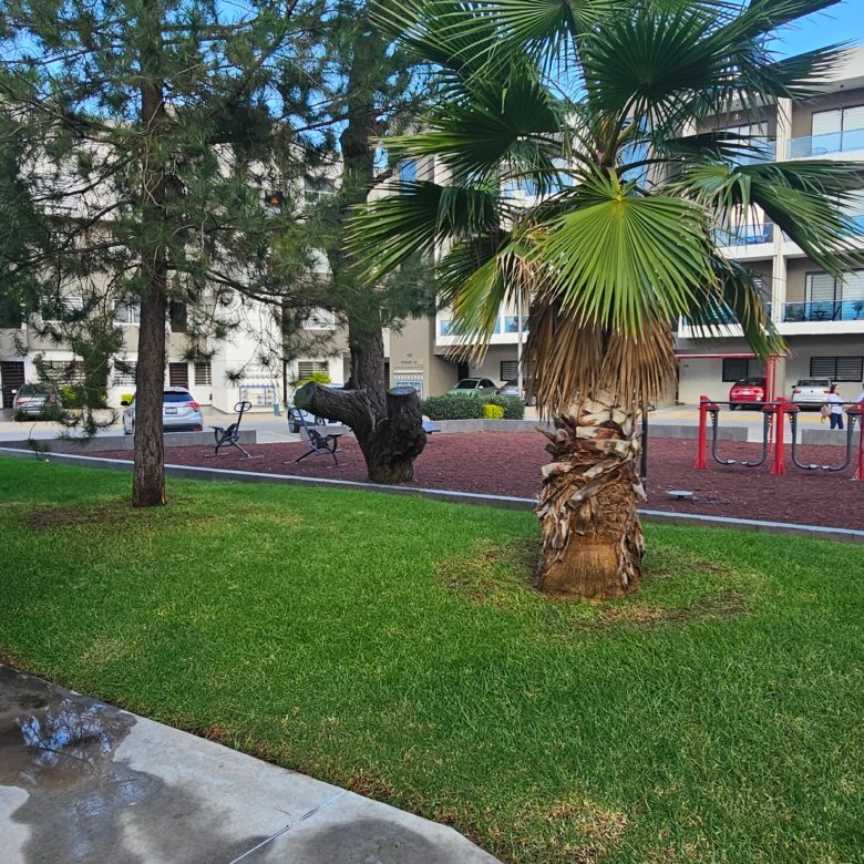 Parque con juegos infantiles en departamento en venta en Rubí Residencial León Guanajuato con áreas verdes y amenidades