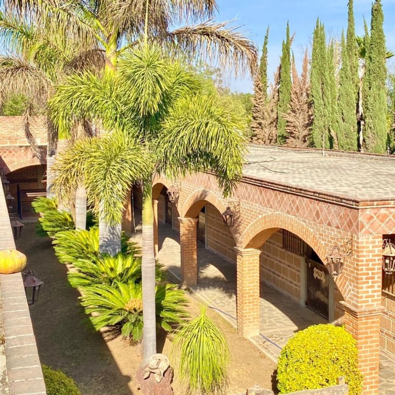 Jardín con palmeras y arcos