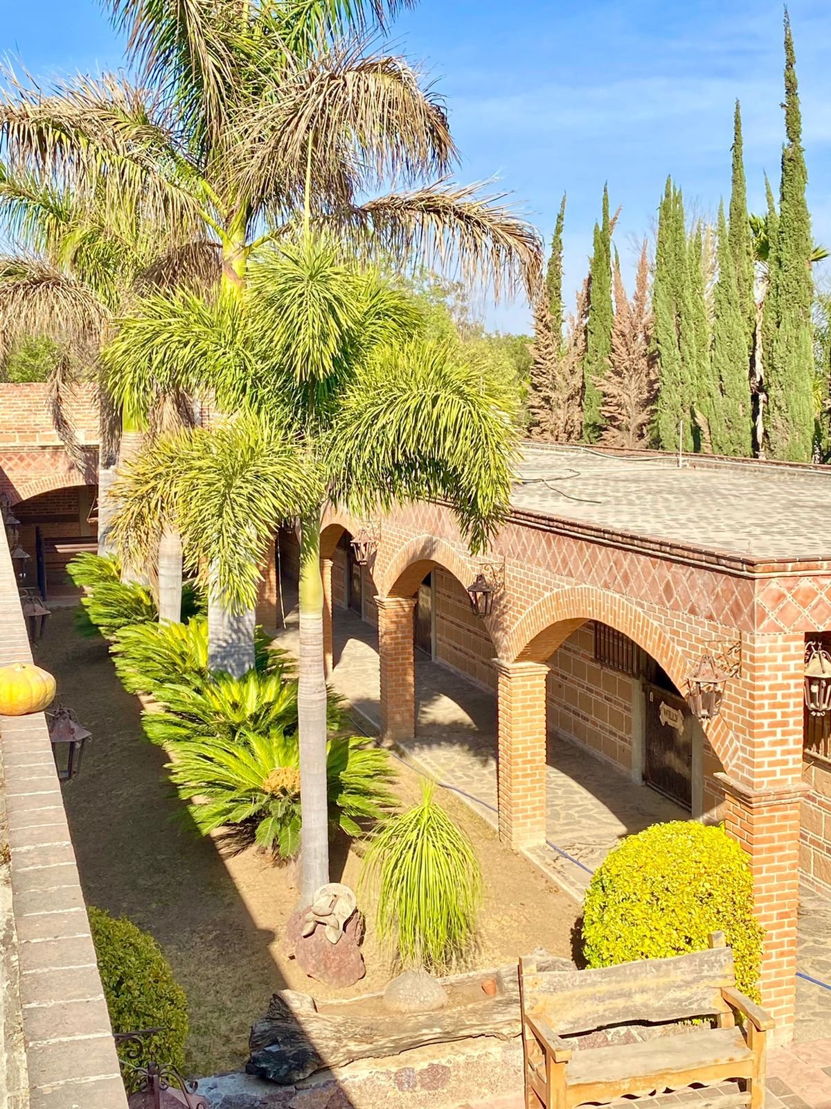 Jardín con palmeras y arcos