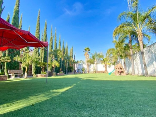 jardín con césped y palmeras en rancho hípico de lujo en venta en san francisco del rincón guanajuato con amplias áreas verdes