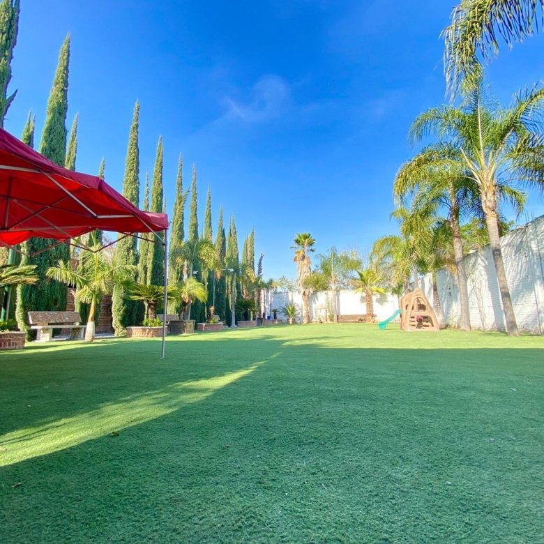 Jardín con césped y palmeras en rancho hípico de lujo en venta en San Francisco del Rincón Guanajuato con amplias áreas verdes