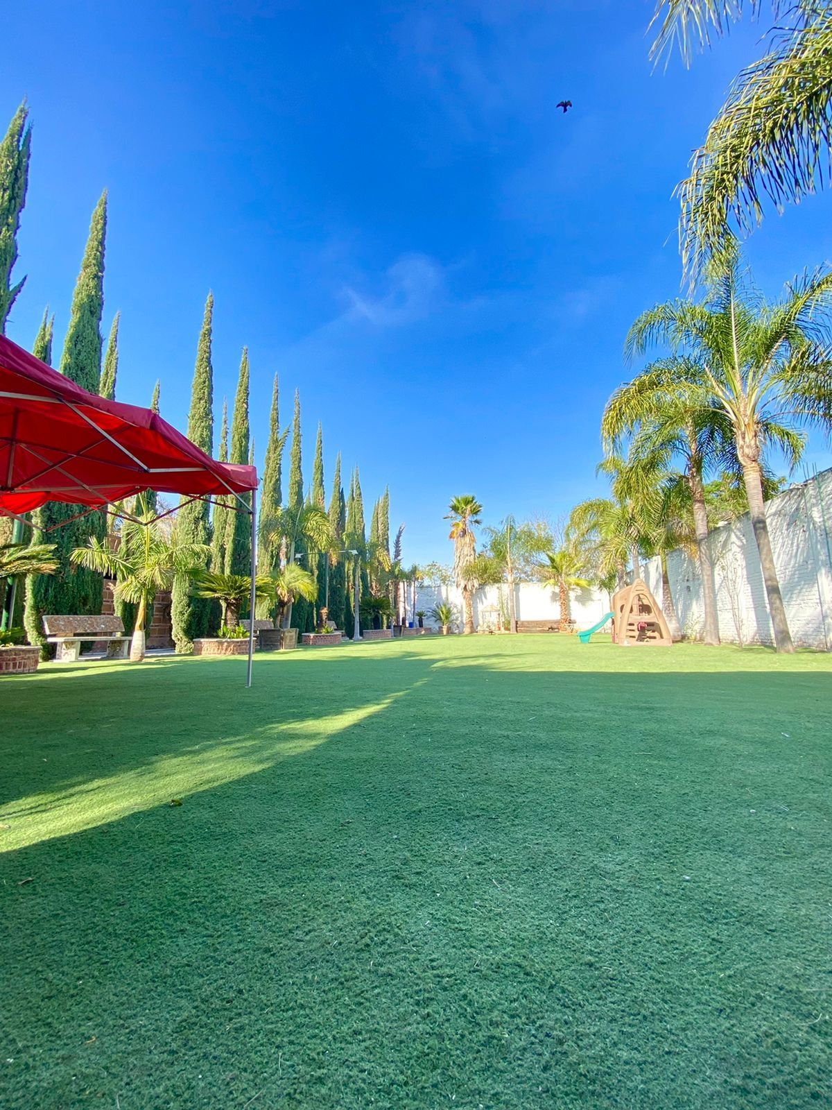 Jardín con césped y palmeras en rancho hípico de lujo en venta en San Francisco del Rincón Guanajuato con amplias áreas verdes