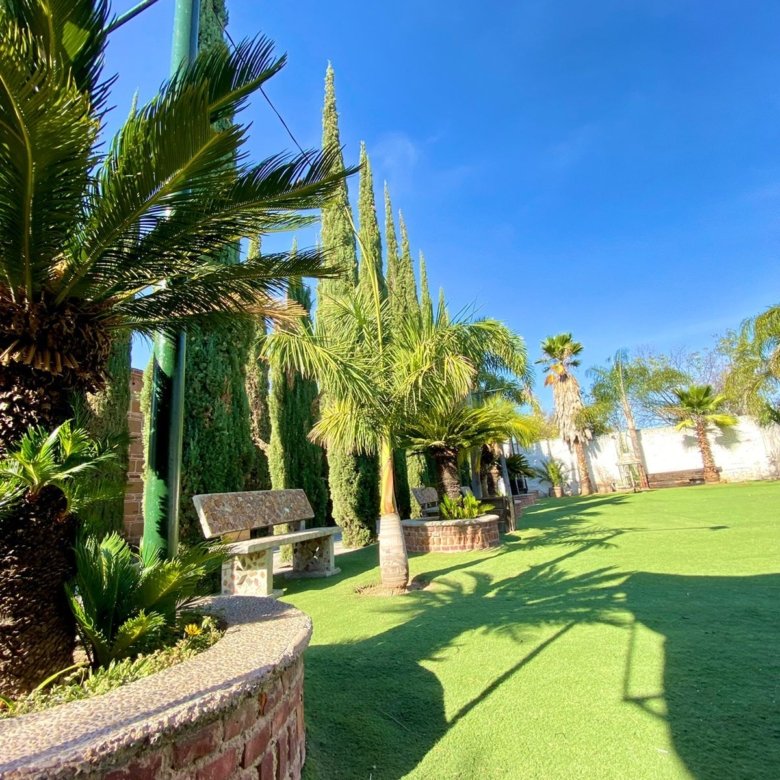 Jardín con palmeras y césped verde en rancho hípico de lujo en venta en San Francisco del Rincón Guanajuato con amplias áreas verdes