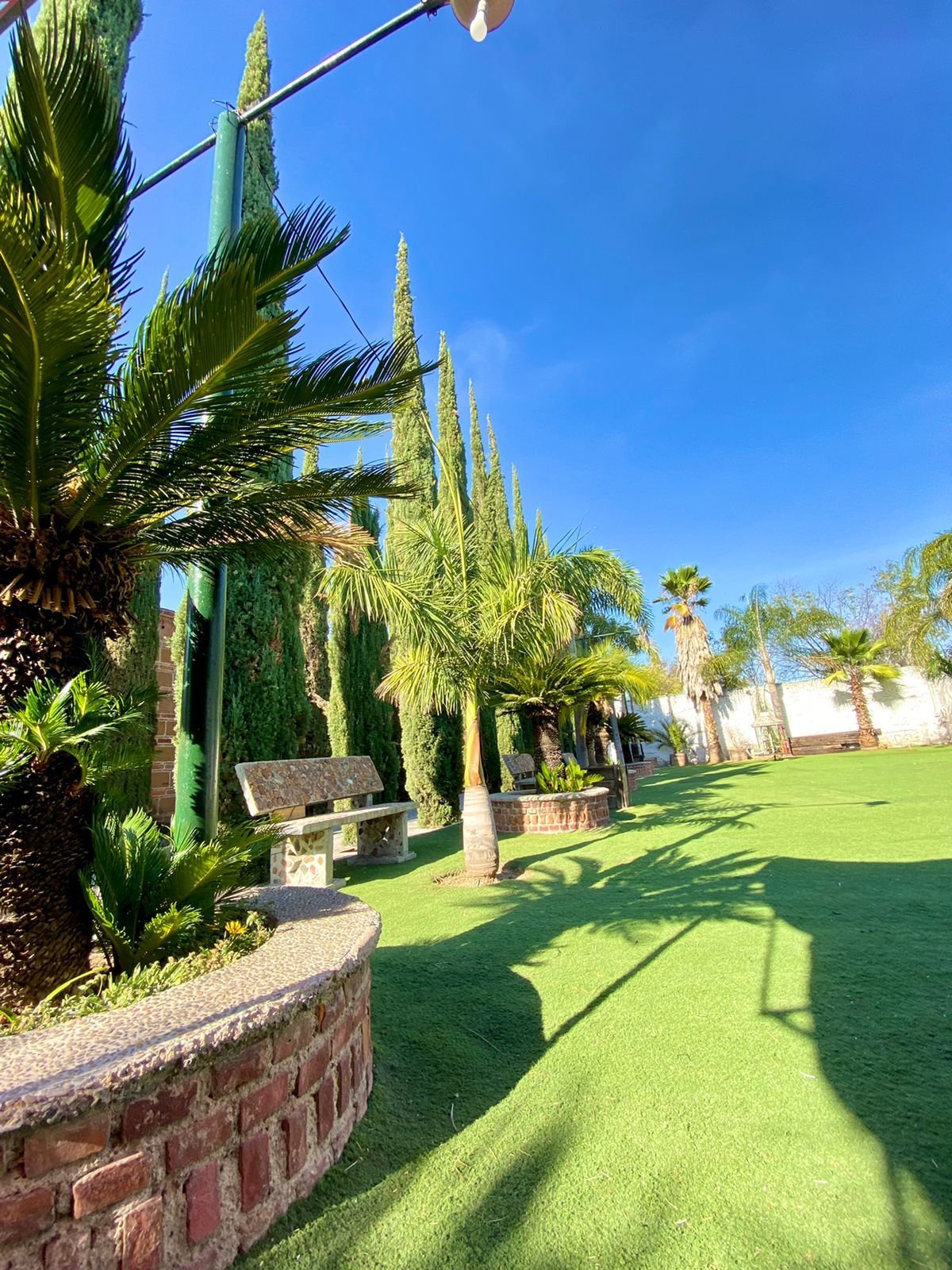 Jardín con palmeras y césped verde en rancho hípico de lujo en venta en San Francisco del Rincón Guanajuato con amplias áreas verdes