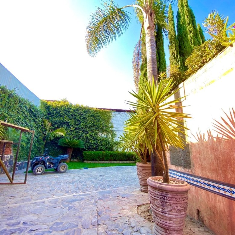 Jardín con palmeras y tractor en rancho hípico de lujo en venta en San Francisco del Rincón Guanajuato con áreas productivas