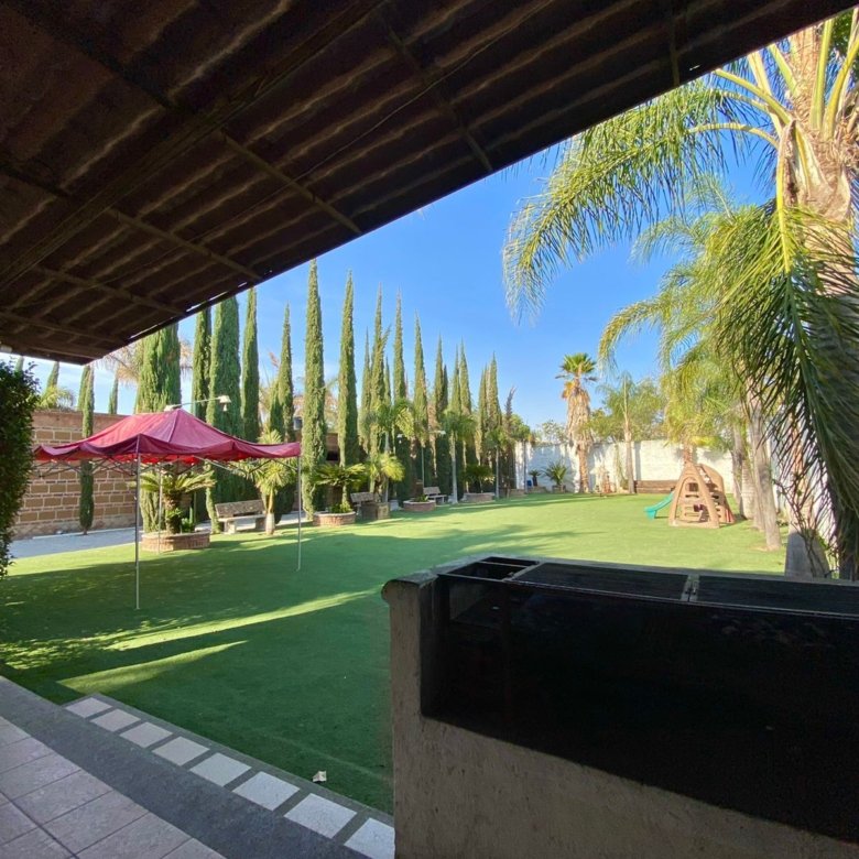 Jardín con palmeras y área de descanso en rancho hípico en venta en San Francisco del Rincón Guanajuato ideal para eventos y relajación