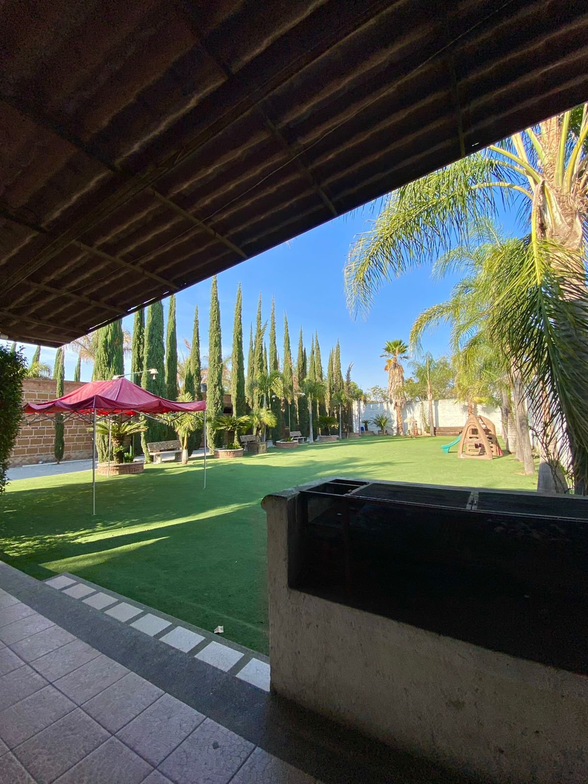 Jardín con palmeras y área de descanso en rancho hípico en venta en San Francisco del Rincón Guanajuato ideal para eventos y relajación