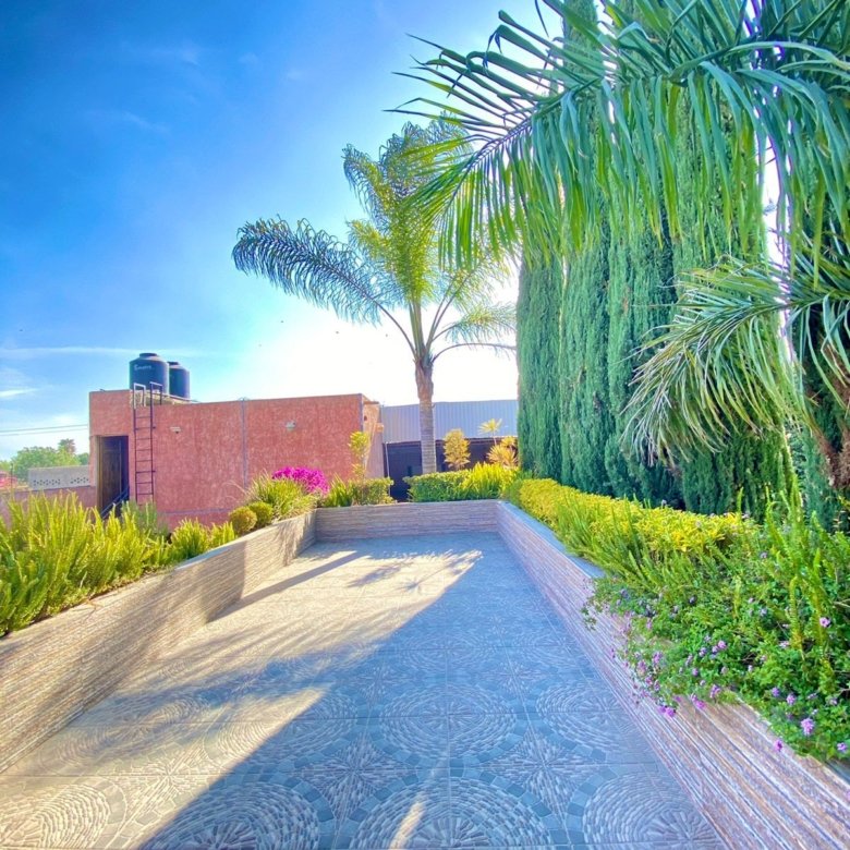 Jardín con palmeras en rancho hípico en venta en San Francisco del Rincón Guanajuato con áreas verdes y cielo despejado