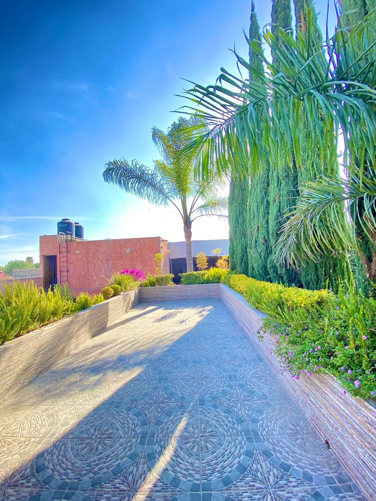Jardín con palmeras en rancho hípico en venta en San Francisco del Rincón Guanajuato con áreas verdes y cielo despejado
