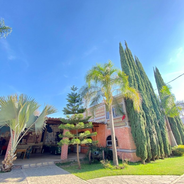 Casa con árboles y cielo azul en rancho hípico en venta en San Francisco del Rincón Guanajuato propiedad campestre de lujo