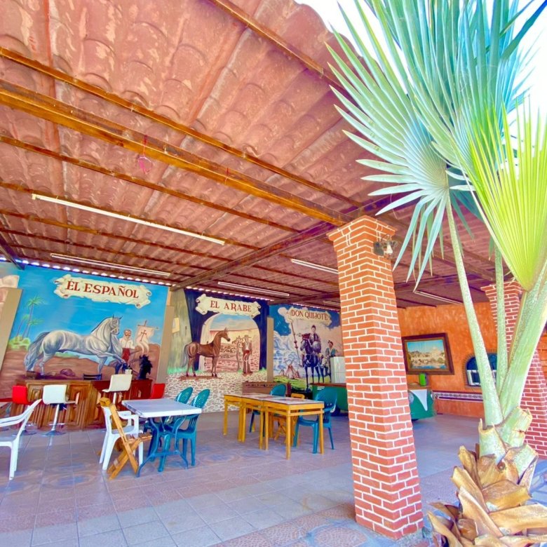 Restaurante con murales y plantas en rancho hípico en venta en San Francisco del Rincón Guanajuato ideal para eventos y turismo