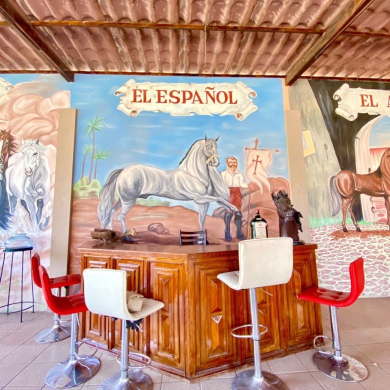 Bar con murales de caballos en rancho hípico en venta en San Francisco del Rincón Guanajuato área social y recreativa