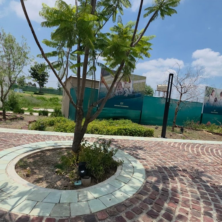 Plazoleta circular adoquinada con árbol en departamento en renta Grand Valbuena Modelo Berlín León