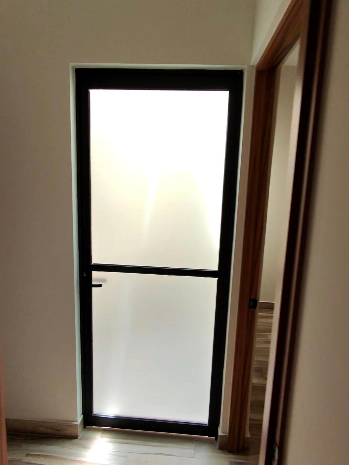 Puerta de servicio con cristal esmerilado en departamento en renta residencial rubi leon modelo jade