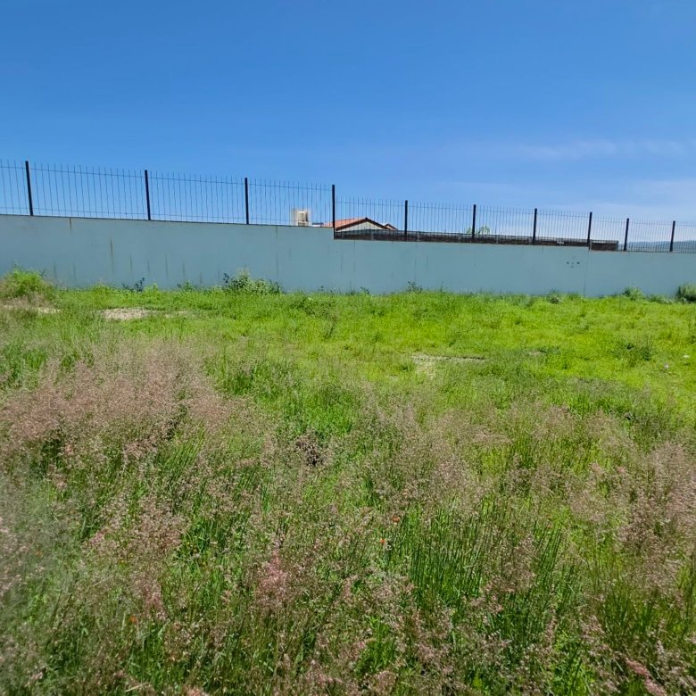 Vista panorámica y barda perimetral de terreno en venta en Ciudad Maderas León Privada Huizache Torresa Inmobiliaria