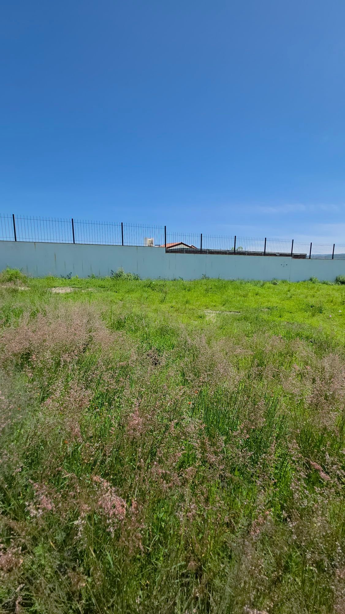 Vista panorámica y barda perimetral de terreno en venta en Ciudad Maderas León Privada Huizache Torresa Inmobiliaria