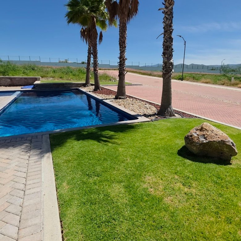 Alberca y areas verdes con palmeras en Casa Club Ciudad Maderas Leon terreno en venta Huizache torresa