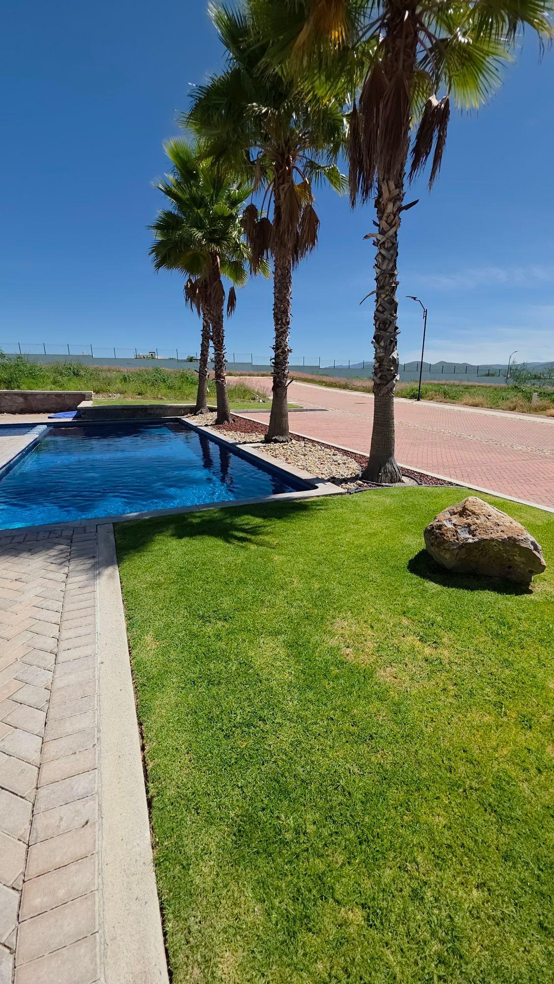 Alberca y areas verdes con palmeras en Casa Club Ciudad Maderas Leon terreno en venta Huizache torresa