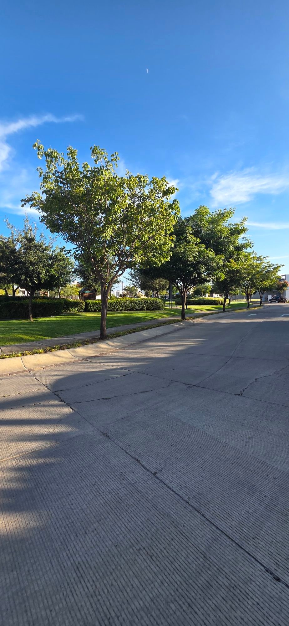 Áreas verdes y vialidades en casa en venta El Mayorazgo La Gavia León Gto