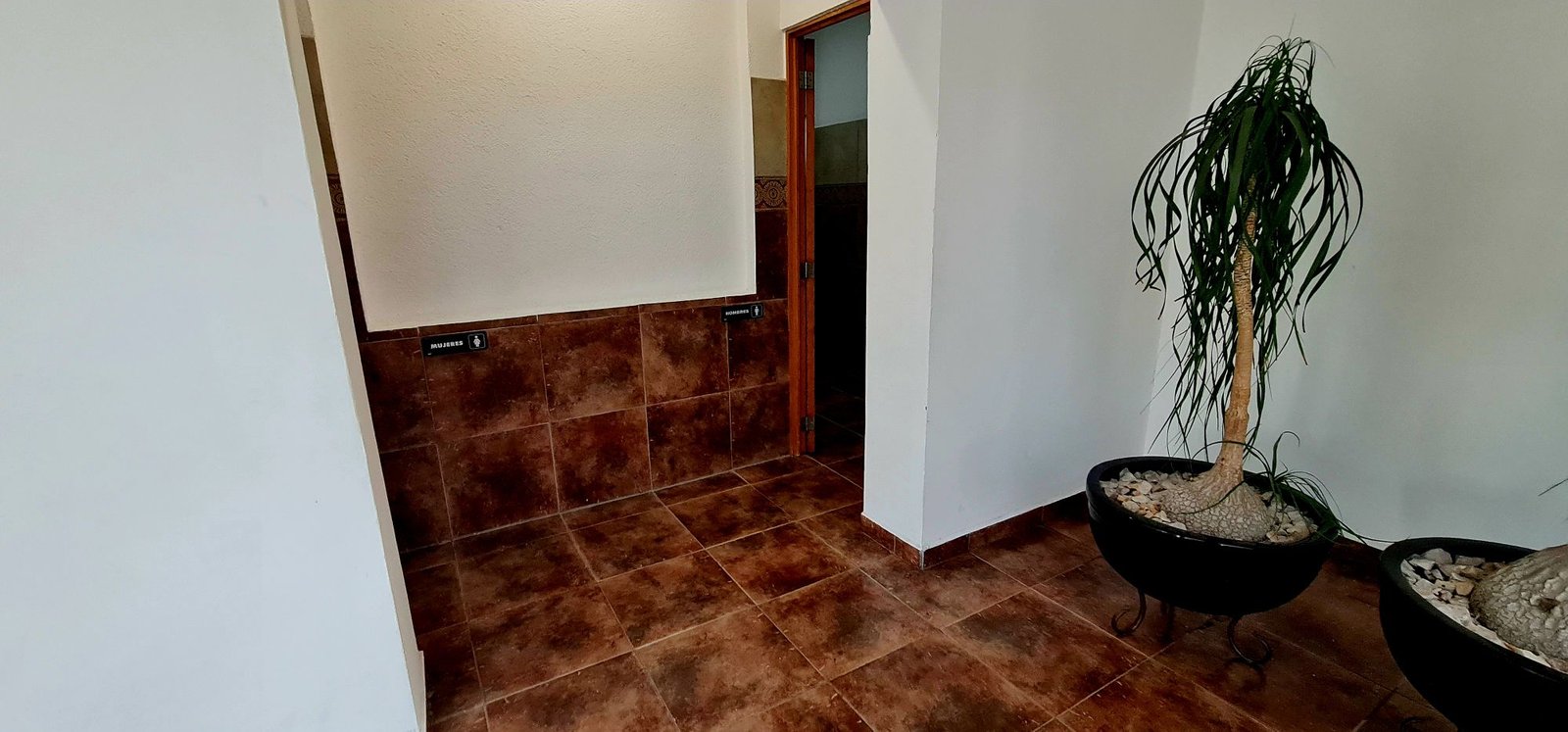 Aquí tienes algunas opciones, elige la que mejor describa la imagen específica: 1. **Si es una casa:** "Casa en venta en León, Guanajuato." 2. **Si es un departamento:** "Departamento en renta en León, Guanajuato." 3. **Más general:** "Propiedad inmobiliaria en venta en León, Guanajuato." 4. **Si se puede añadir un detalle clave:** "Casa moderna en venta en León, Guanajuato." **Recomendación principal (breve y directo):** "**Casa en venta en León, Guanajuato.**"